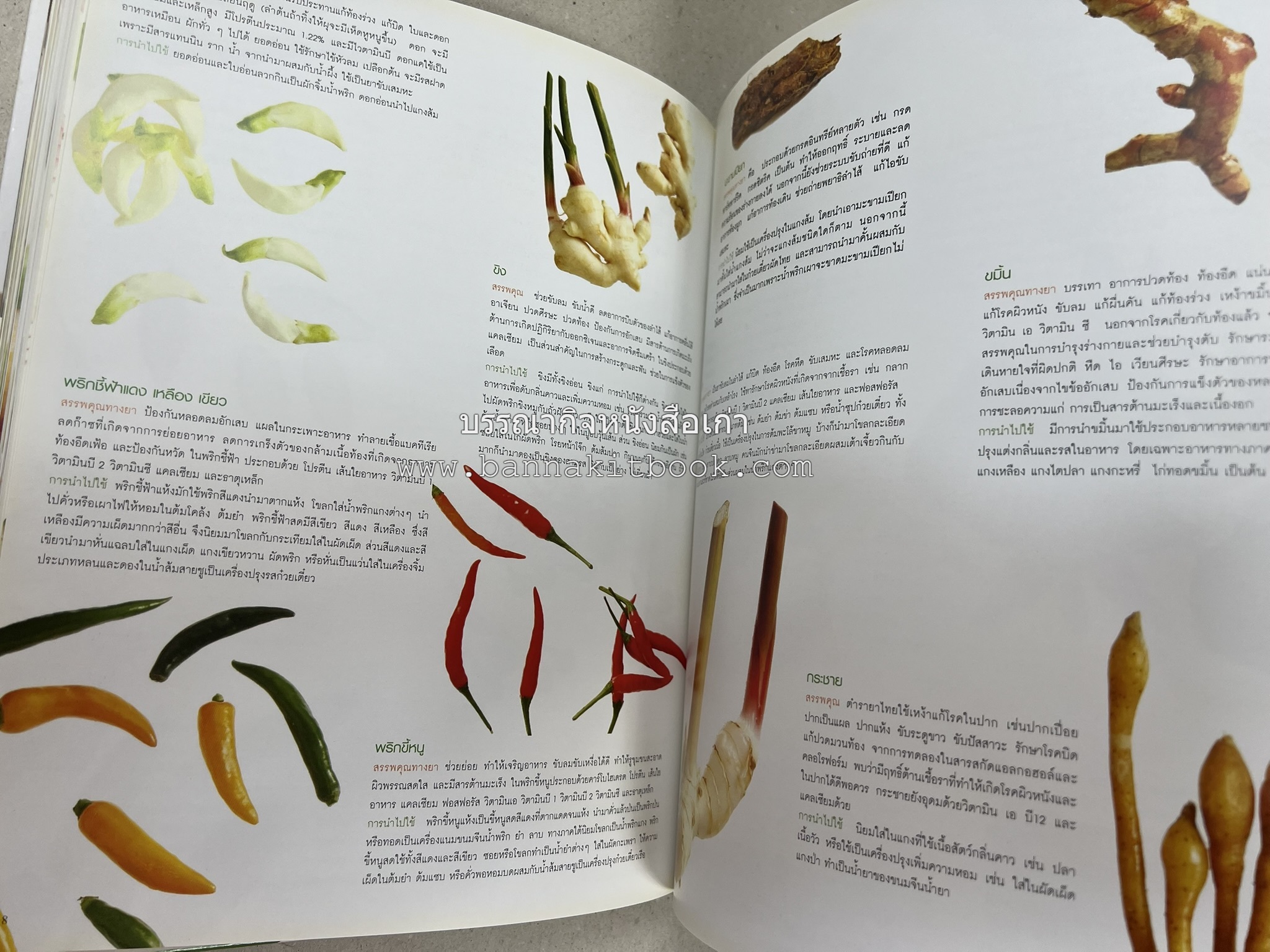 อาหารไทย...จากอดีตสู่ปัจจบัน (ตำรับดั้งเดิม ตำรับยอดนิยม และตำรับเครื่องแกงไทย โดย : มหาวิทยาลัยสวนดุสิต และสถาบันอาหาร (NFI).