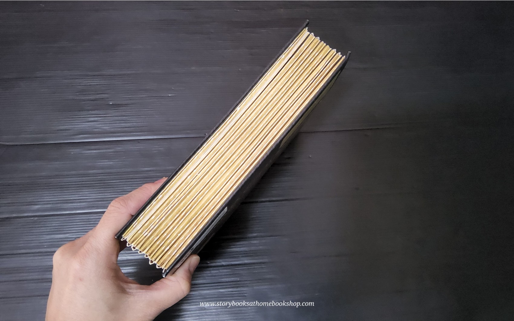 PHOTICULAR BOOK** 🍅SAFARI