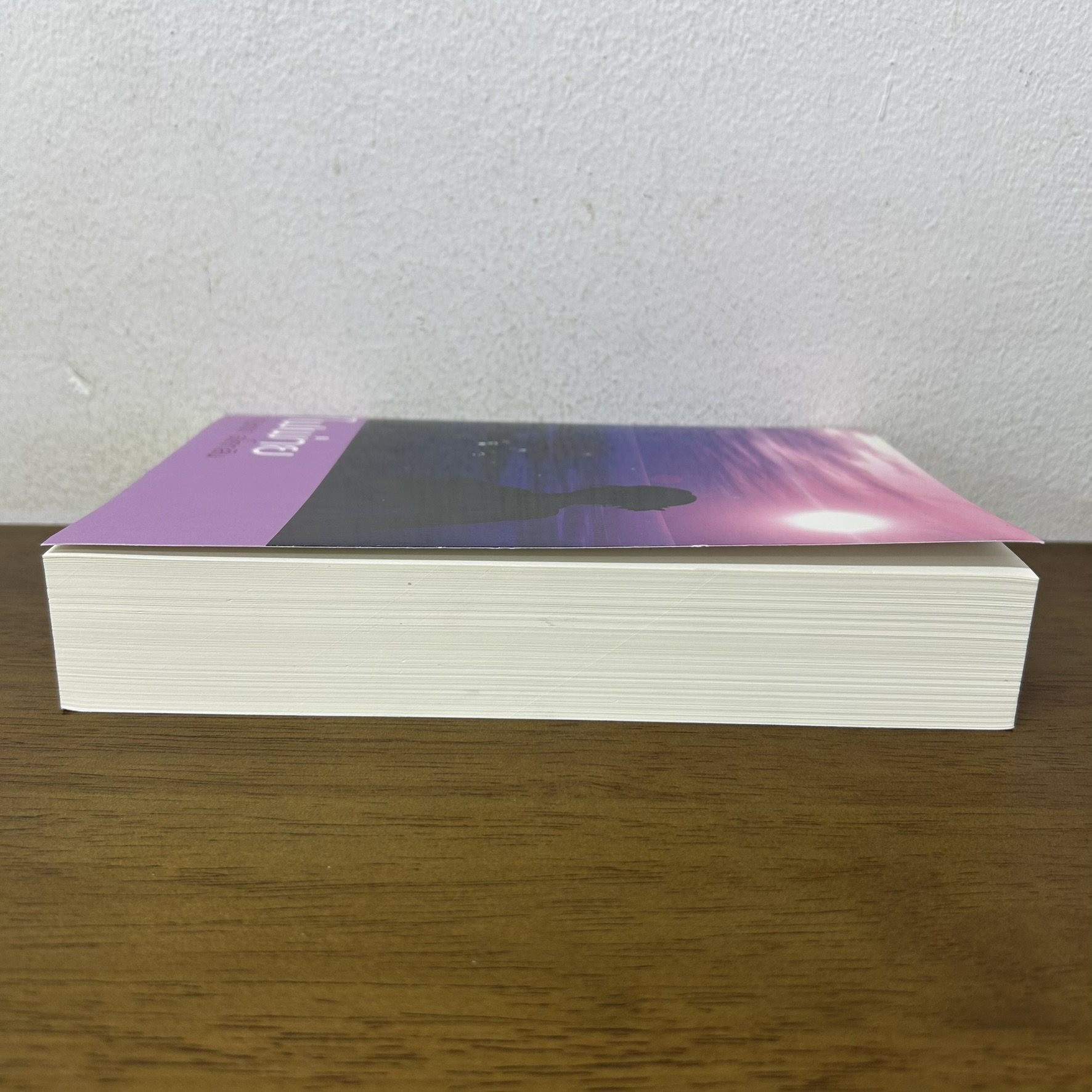 ไฟพ่าย ... กฤษณา อโศกสิน (มือสอง) นิยาย โรแมนติก แสงดาว