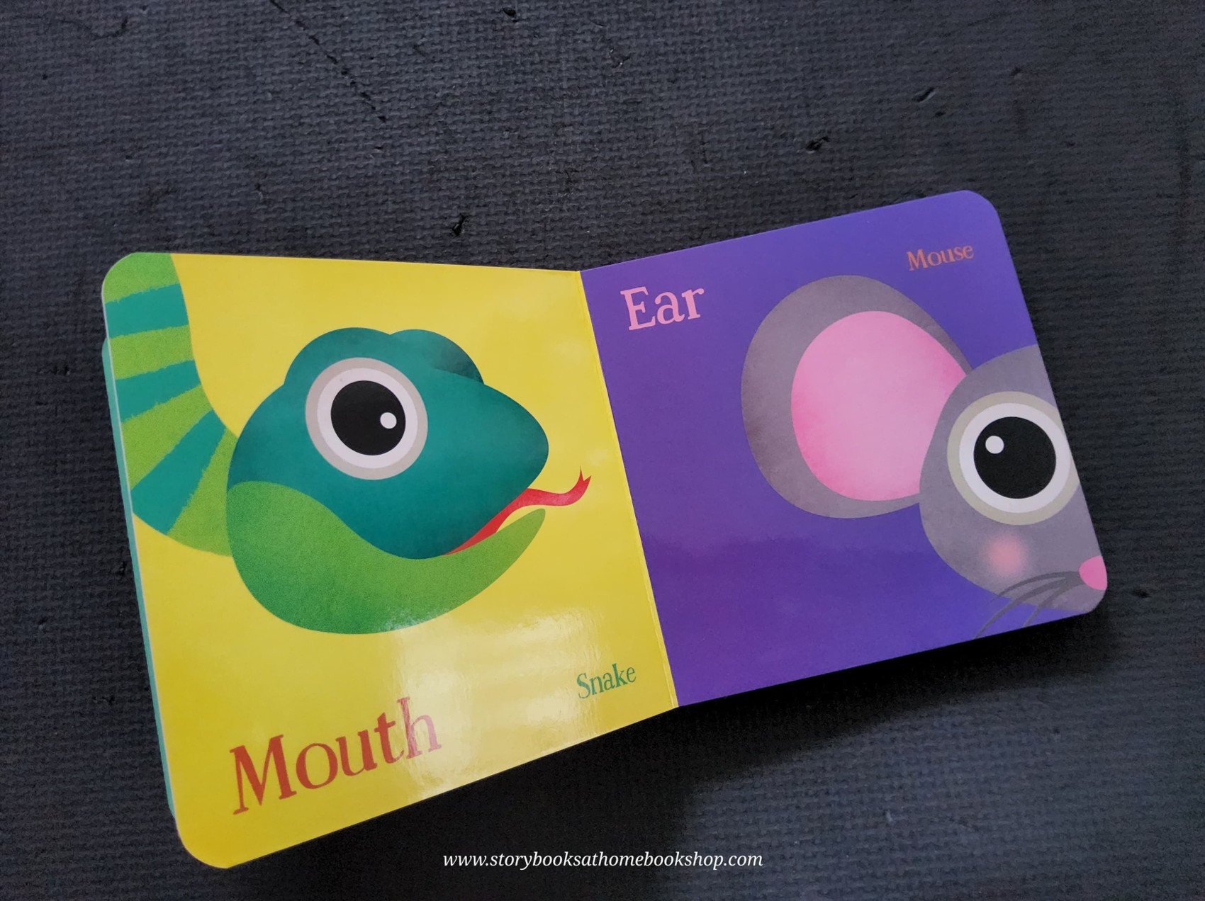 BOARD BOOK** 🍅🍓HOOT'S FIRST BOOK OF THE BODY