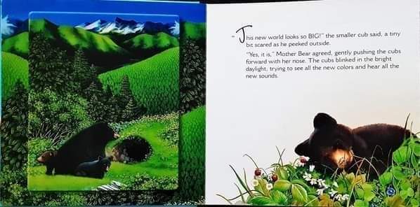 BOARD BOOK** 🍅🍓WE ARE BEARS