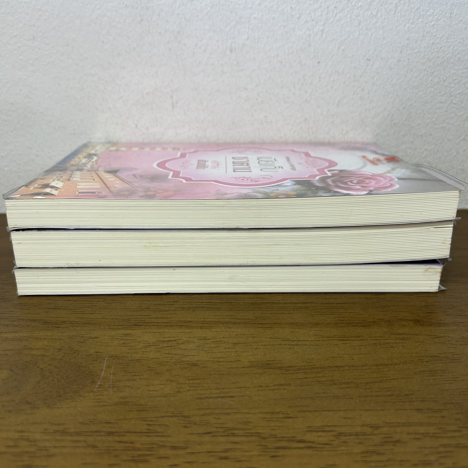 ชุด Mistress by Marriage - เมียเก็บซาตาน เมียเก็บจอมมาร เมียเก็บอสูร ... พิมพ์ฝัน ชินณิตา ปานไพลิน (มือสอง) พลอยวรรณกรรม