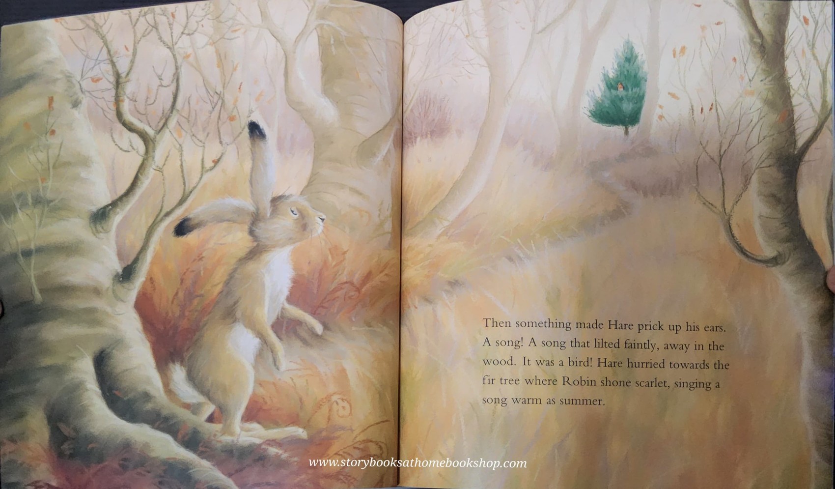 หนังสือนิทานปกอ่อน** 🍅🍓THE LITTLE LOST ROBIN