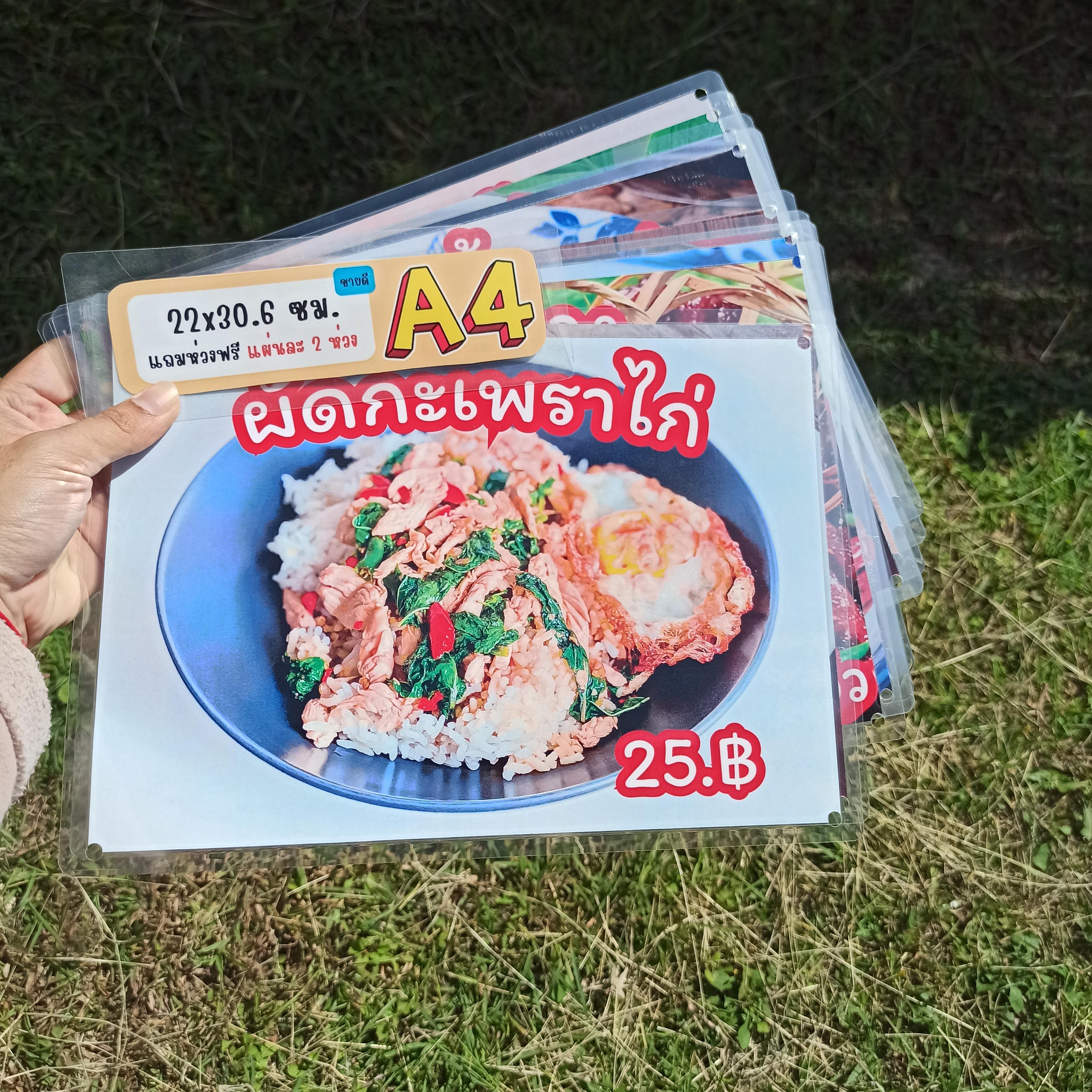 ชุดป้ายเมนู A4 เจาะรูพร้อมห่วง 12 แผ่น | รวมเมนูยอดฮิต: กะเพรา, หมูกระเทียม, ไข่ดาว, แกงเขียวหวาน, ขนมจีน, ก๋วยเตี๋ยวหลอด | เพิ่มยอดขายร้านของคุณทันที! | รหัส 4027