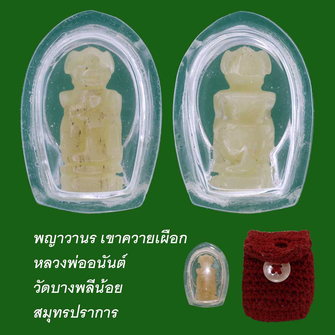 พญาวานร หลวงพ่ออนันต์ วัดบางพลีน้อย สมุทรปราการ