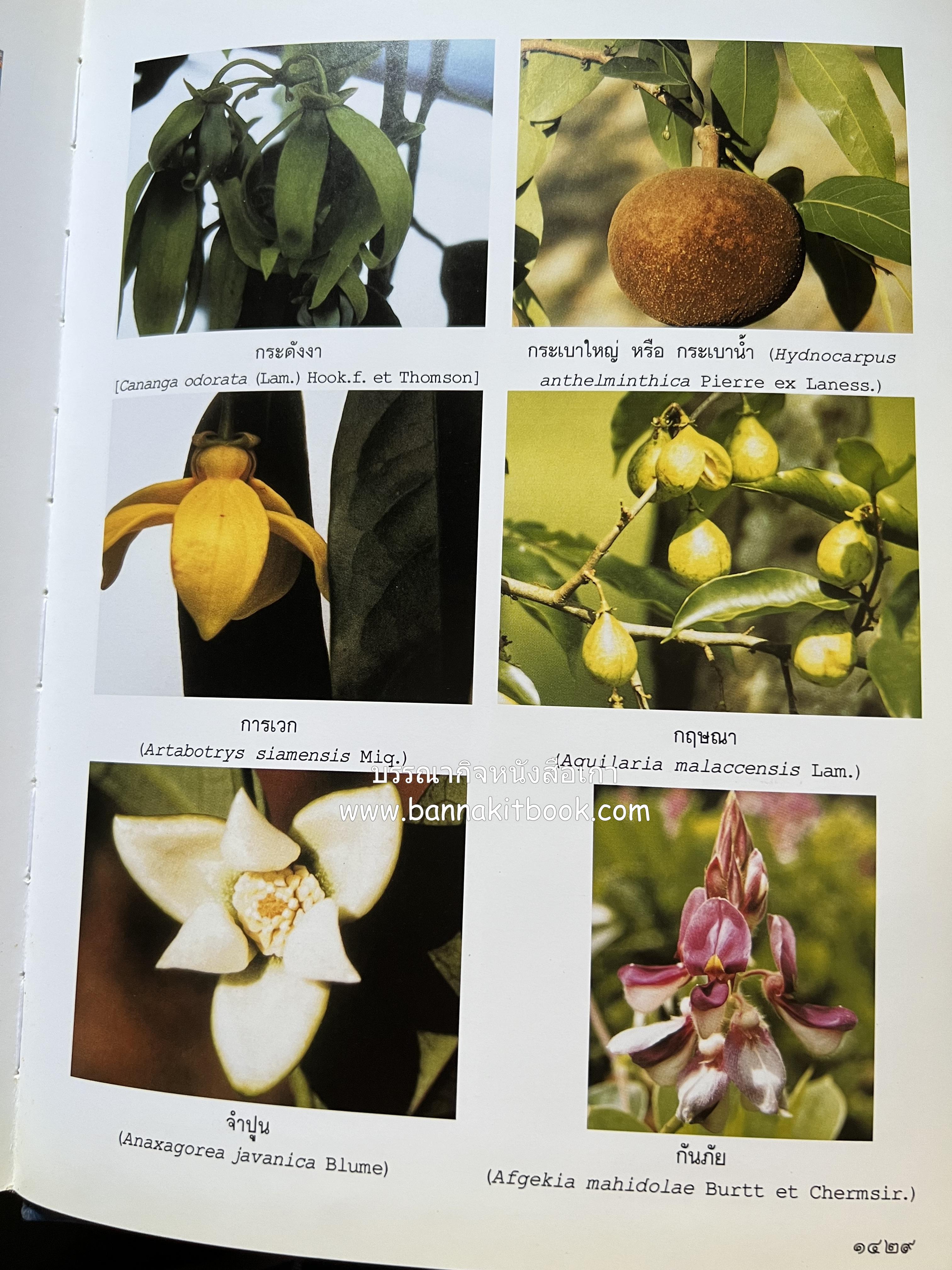 พจนานุกรม ฉบับราชบัณฑิตยสถาน พ.ศ. 2542 โดย : ราชบัณฑิตยสถาน.