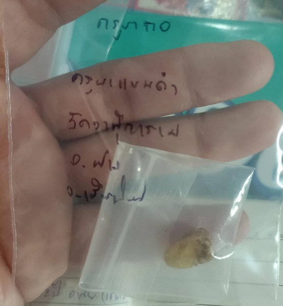 พระทันตธาตุ ครูบาแขนดำ หรือครูบากอ วัดวาฬุการาม อ.ฝาง จ.เชียงใหม่ ได้มาจากลุงอำนาจ อายุ 72 ปี อาชีพขายข้าวสาร ใน อ.เชียงดาว อ.ฝาง ทำสวนปลูกข้าวขาย ลุงอำนาจท่านเป็นลูกศิษย์ของครูบากอ ยามว่างท่านก็มาขับรถให้ครูบากอ ลุงอำนาจได้รับพระทันตธาตุมาให้ปี 2562