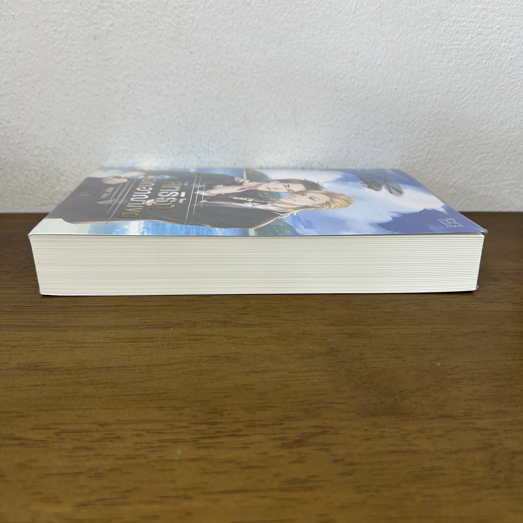 [YAOI] สิทธิรักนอกอาณาเขต ... Muk (มือสอง) นิยายวาย Rose