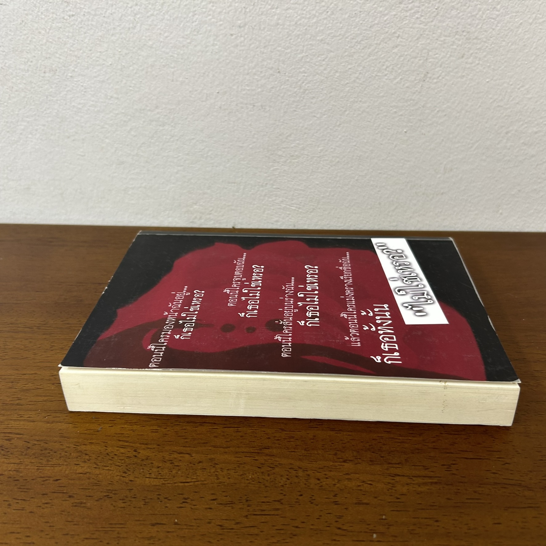 ME & ROOMMATE เสพติดรัก ดีกรีร้าย ... Lta Luktarn (มือสอง) นิยายรัก ทำมือ