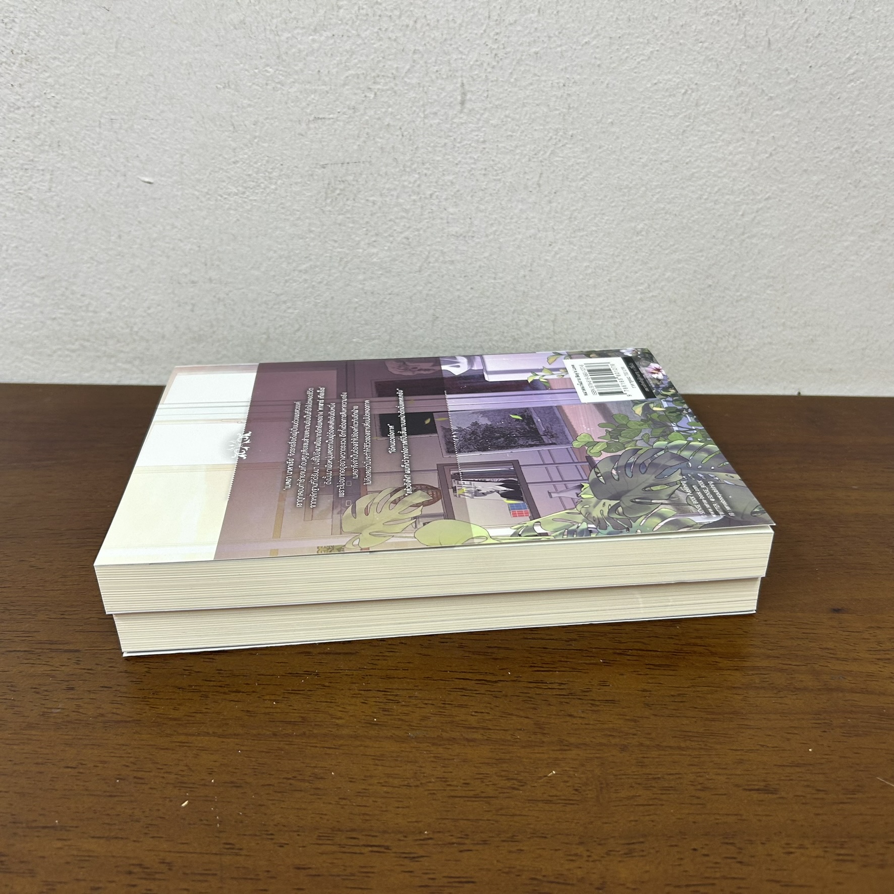 [YAOI] Boomerang เพลิงป่ากลิ่นฤดูหนาว เล่ม 1-2 จบ ครบชุด ... Galactic (มือสอง) นิยายวาย SENSE