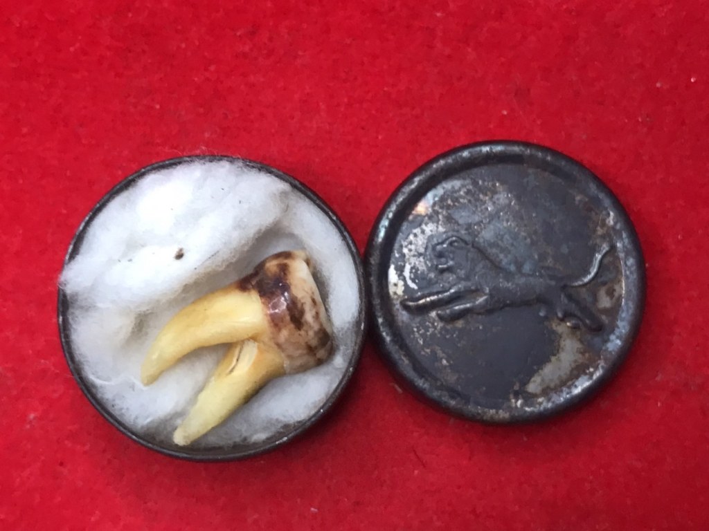 พระทันตธาตุ ครูบาบุญมา วัดแม่สะลาบ จ.เชียงใหม่ ได้มาจากกำนันคำ ซึ่งได้พระทันตธาตุชุดนี้มาจากเพื่อนชื่อเดช อ.สารภี คุณเดช เคยค้าขายข้าวกับท่านกำนันคำ ปัจจุบันเสียชีวิตแล้ว คุณเดช เป็นคนเล่นพระ ให้เช่าบูชาพระในสมัยนั้นด้วย และเป็นศิษย์รับใช้ครูบาบุญมา