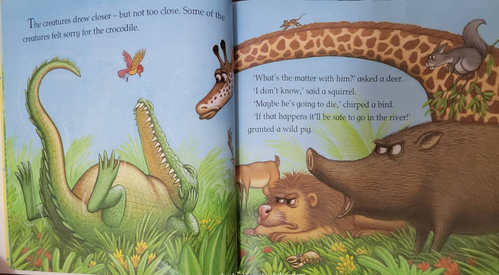 หนังสือนิทานปกอ่อน ** 🍅🍓THE SELFISH CROCODILE