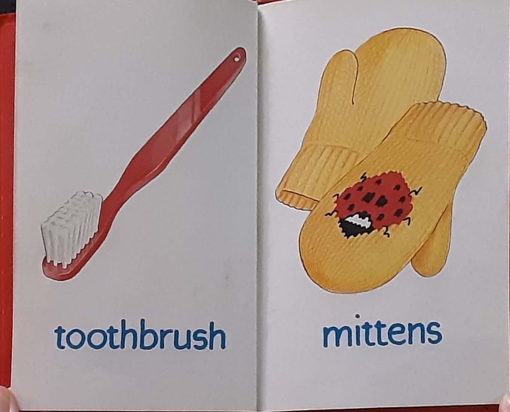 หนังสือนิทานปกแข็ง** 🍓🍓 Baby's Red Picture Book