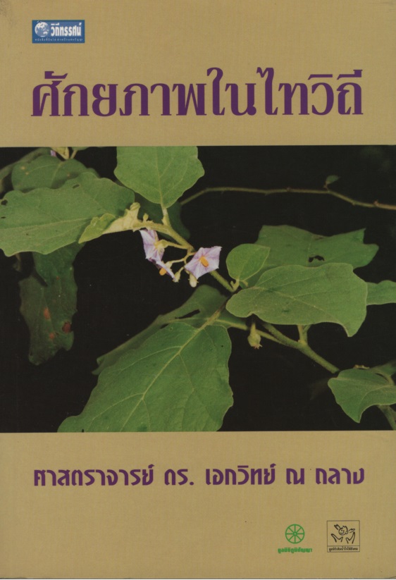 ศักยภาพในไทวิถี