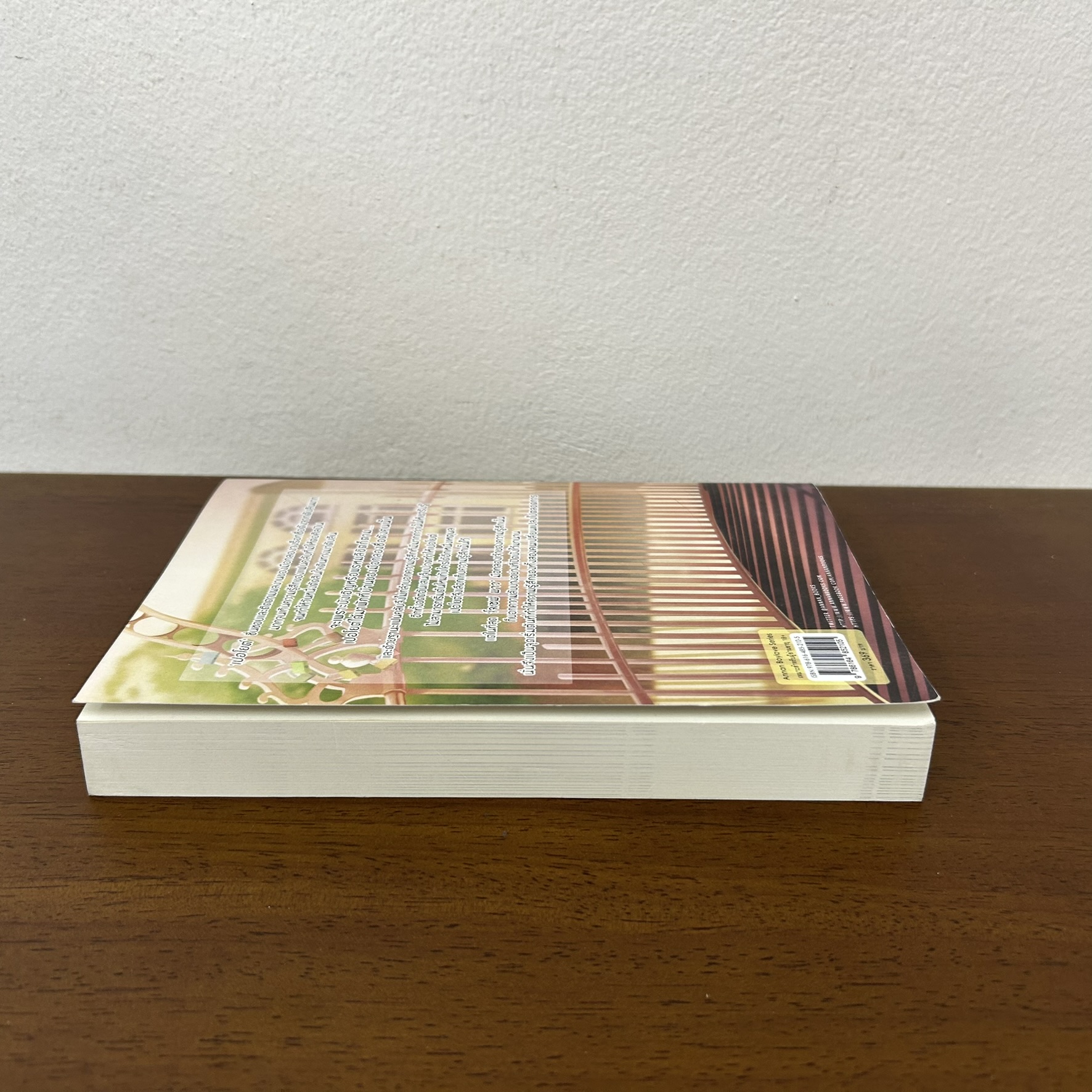 [YAOI] รักนี้ที่ดับลิน ... นกม่อ (มือสอง) นิยายวาย