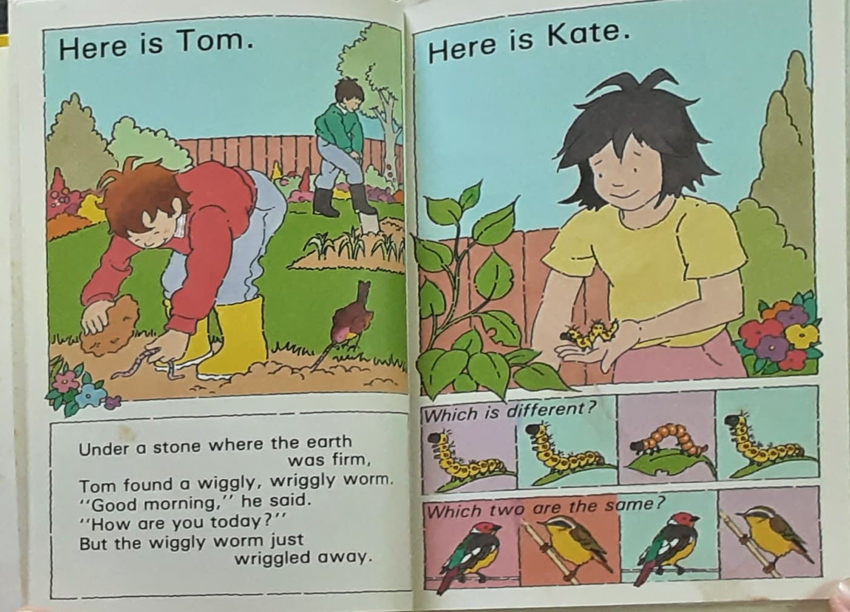 หนังสือนิทานปกแข็ง** 🍅🍓Read with me First words a pre reader