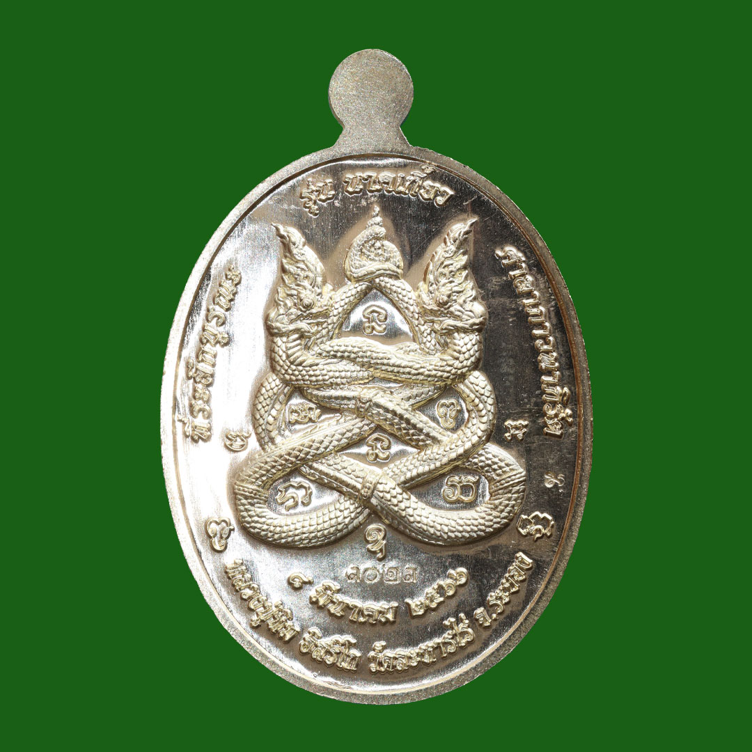 เหรียญนาคเกี้ยว หลวงปู่ทิม วัดระหารไร่ ปี2566 เนื้อทองเหลือง