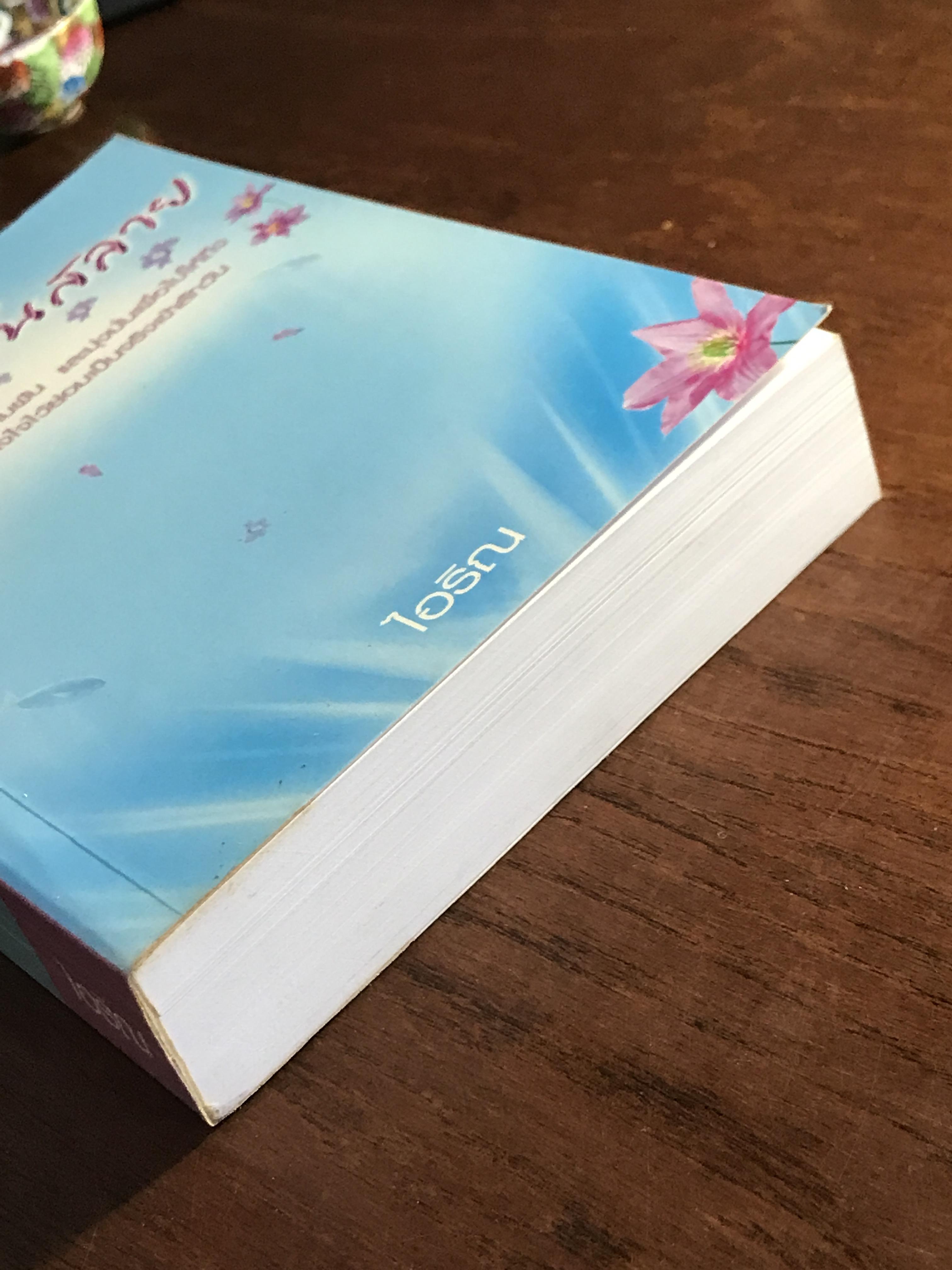 ไม่มีวันฝันสลาย ผู้เขียน: ไอริณ สำนักพิมพ์: รวมสาส์น ➡️H16