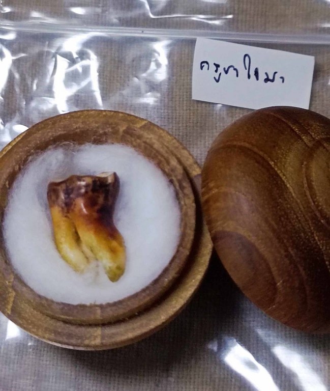 พระทันตธาตุ ครูบาใจมา วัดทุ่งจำลอง ต.แม่งอน อ.ฝาง จ.เชียงใหม่ องค์นี้ได้มาจากคุณลุงสันติ อายุ 79 ปี เป็นชาว อ.ฝาง จ.เชียงใหม่ คุณลุงสันติ เคยบวชเป็นพระ รับใช้ครูบาใจมา ตั้งแต่ปี พ.ศ. 2532-2540 ท่านสึกมาเมื่อปี 2541 มาดูสวนส้ม และดูแลคุณแม่