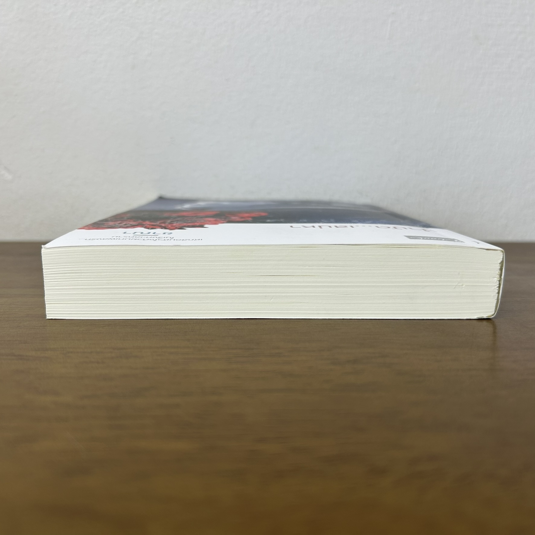 บำบัด...เสน่หา ... ชาณา (มือสอง) นิยาย โรแมนติก Dbook