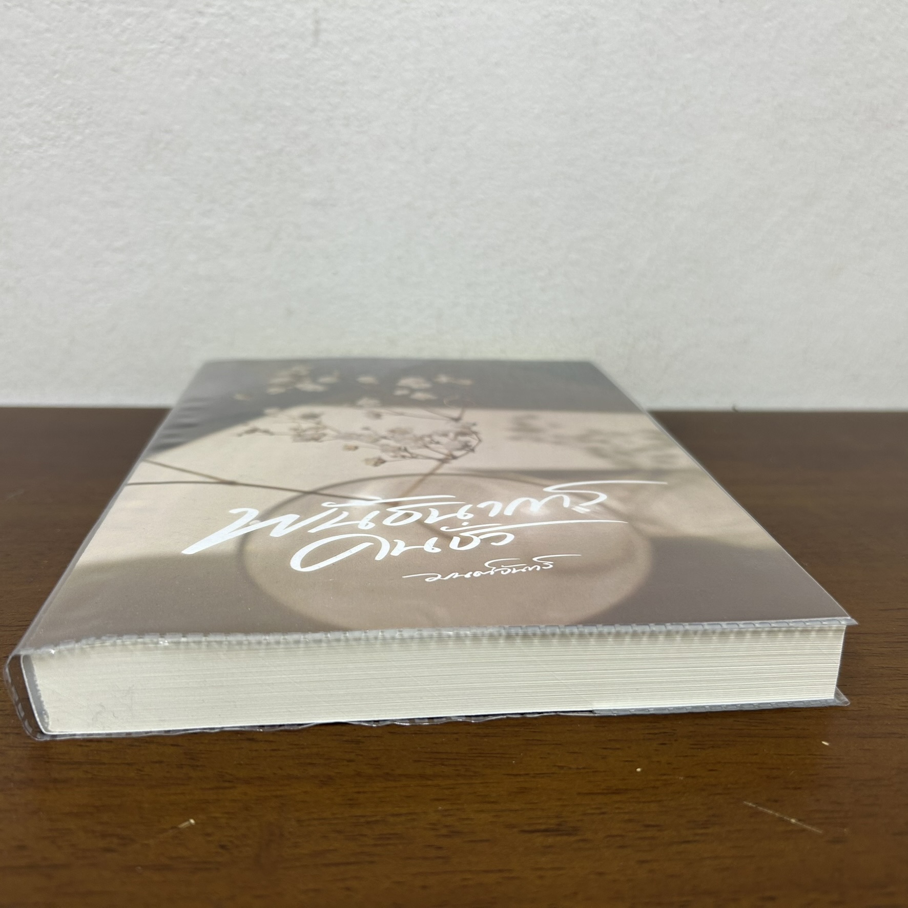 พันธนาการคนชั่ว ... มนต์จันทร์ (มือสอง) นิยาย โรมานซ์ ทำมือ