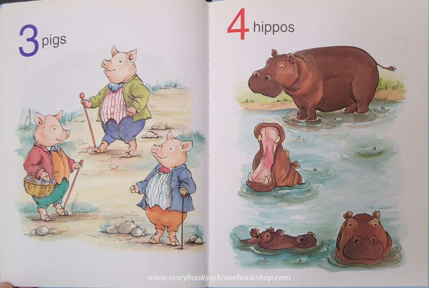 หนังสือนิทานปกแข็ง** 🍅MY ANIMAL COUNTING