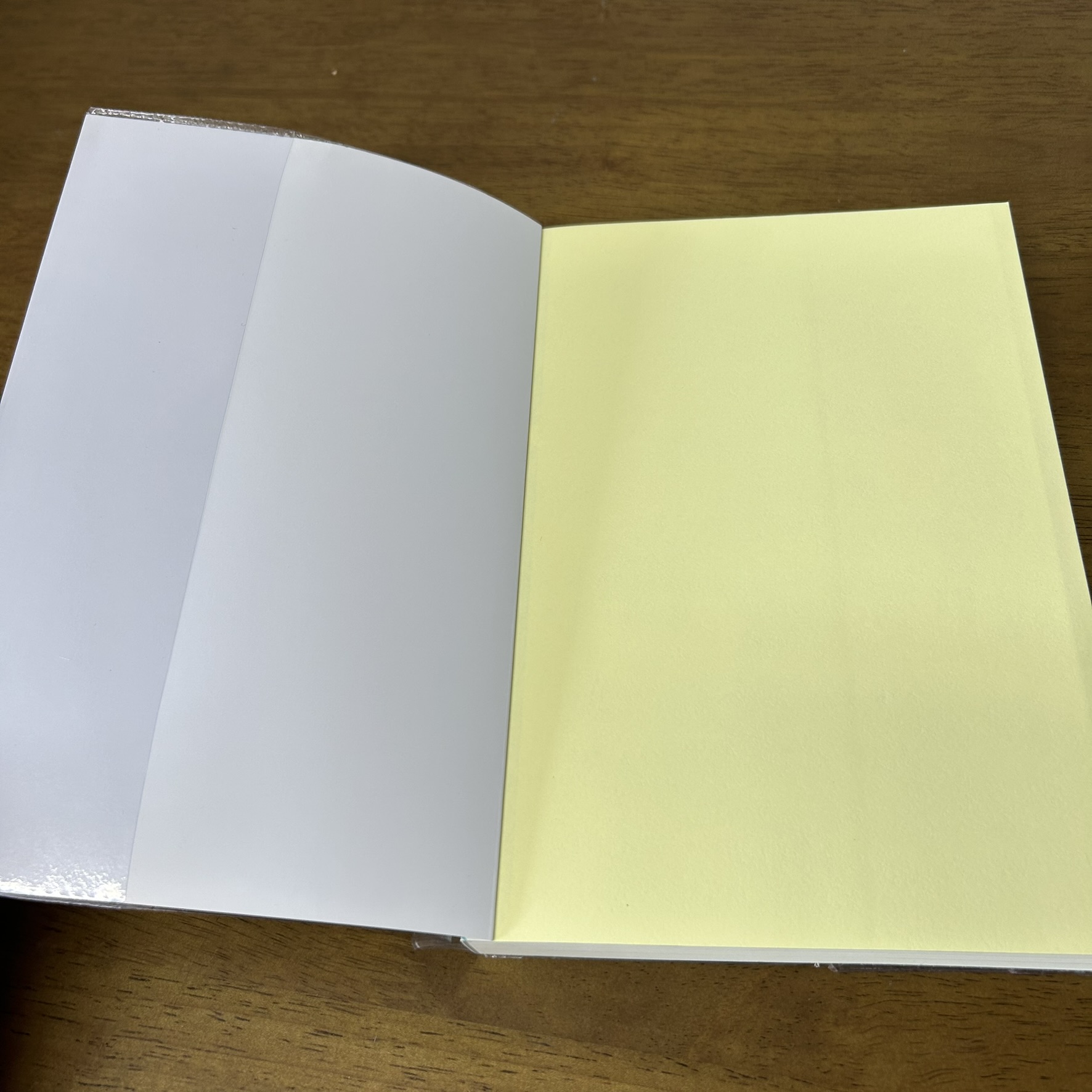 Seduction ล่อลวงหัวใจให้หลงรัก ... เจ้าปลาน้อย (มือสอง) นิยาย แจ่มใส เลิฟซีรีส์