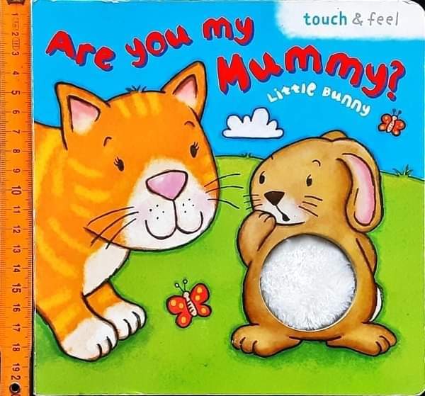 Board Book ** 🍅🍓Are you my Mummy? LITTLE BUNNY
