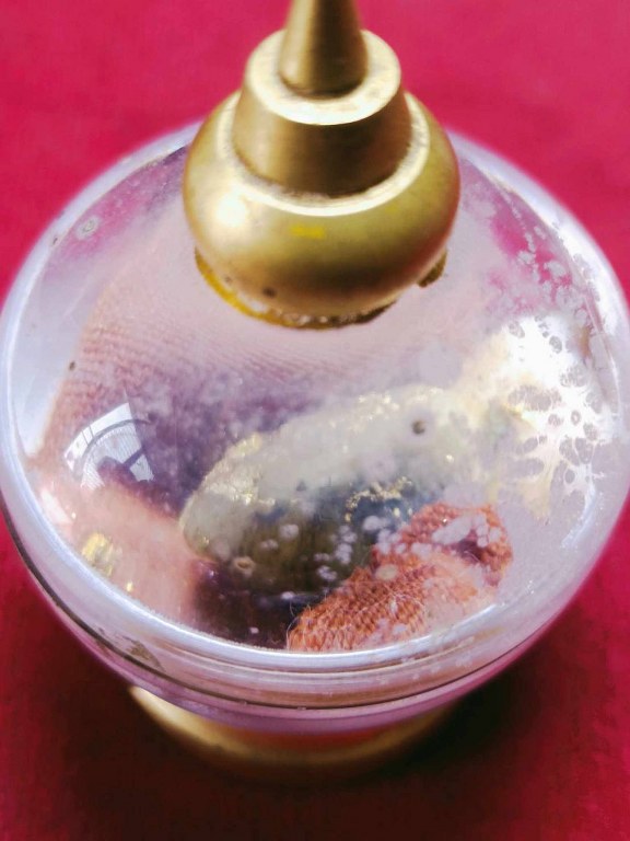 พระทันตธาตุ ครูบาธรรมธิ วัดสันป่าตึง อ.แม่แตง จ.เชียงใหม่ ได้มาจากพ่อหนานจักร อายุ 82 ปี ปัจจุบัน (พ.ศ.2567) ยังมีชีวิตอยู่ แม่แตง จ.เชียงใหม่ เคยบวชรับใช้ครูบาธรรมธิ ตั้งแต่ปี 2529 - 2536 และสึกในปี 2540 ท่านได้พระทันตธาตุนี้มาเมื่อปี 2536