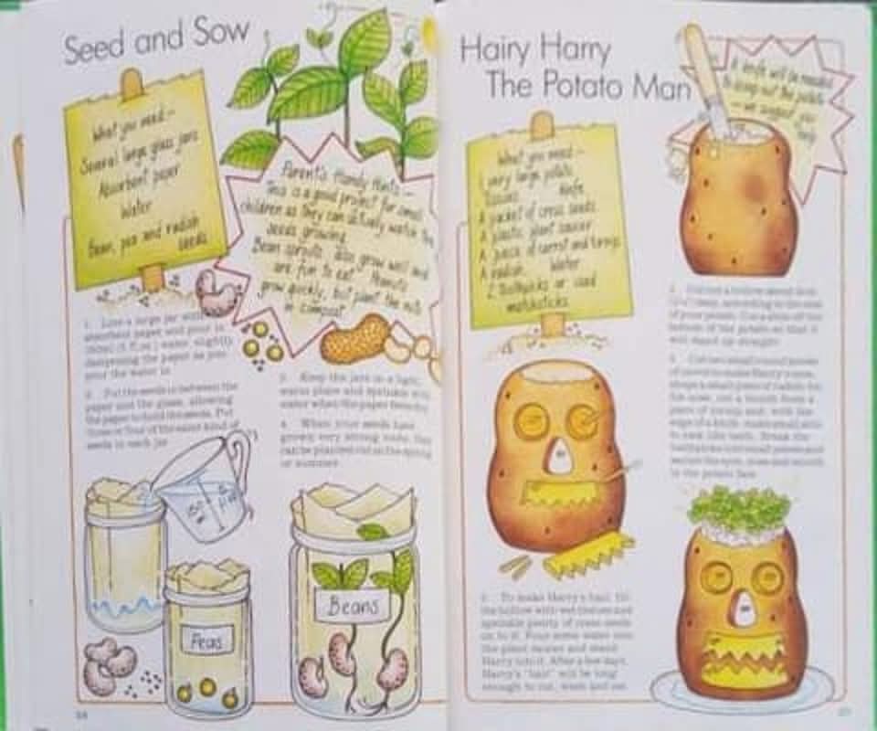 CRAFTY ACTIVITY BOOK** ð
ðCRAFTY IDEAS FROM NATURE