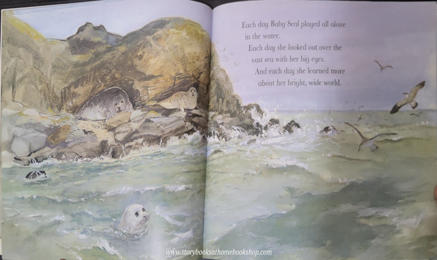 หนังสือนิทานปกอ่อน** 🍅BABY SEAL ALL ALONE