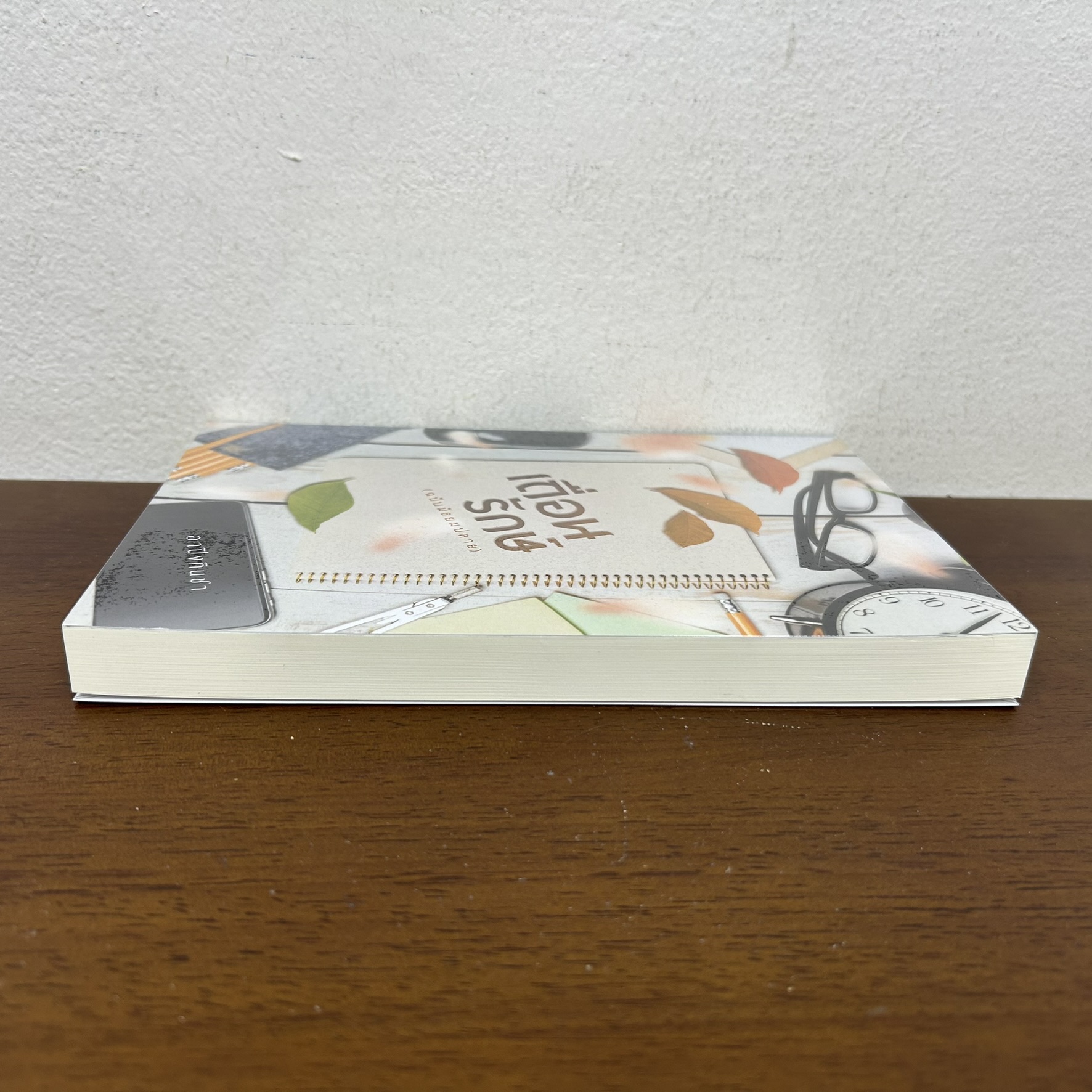 เถื่อนรักษ์ (ฉบับมัธยมปลาย) ... อาปิงกินชา (มือสอง) นิยายรัก