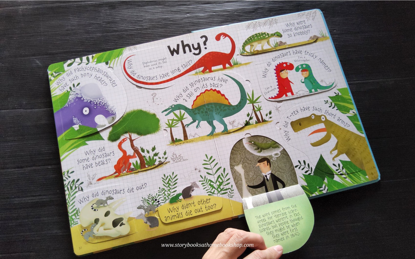LIFT THE FLAP BOARD BOOK** 🍅🍓QUESTIONS AND ANSWERS ABOUT DINOSAURS