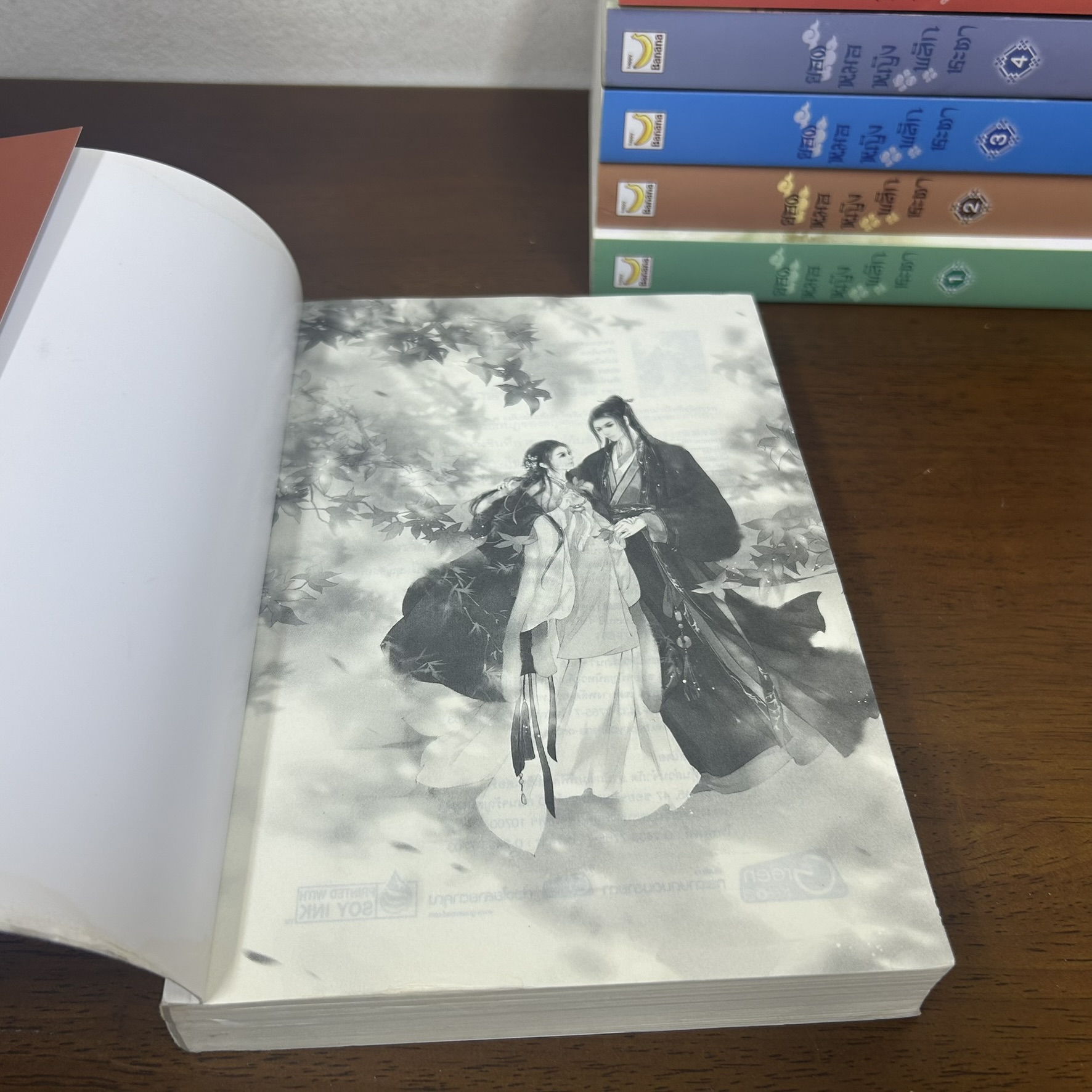 ยอดหมอหญิงพลิกชะตา เล่ม 1-6 จบ ครบชุด (มือสอง) ... Yi Qian Chong นิยาย แปลจีน Happy Banana