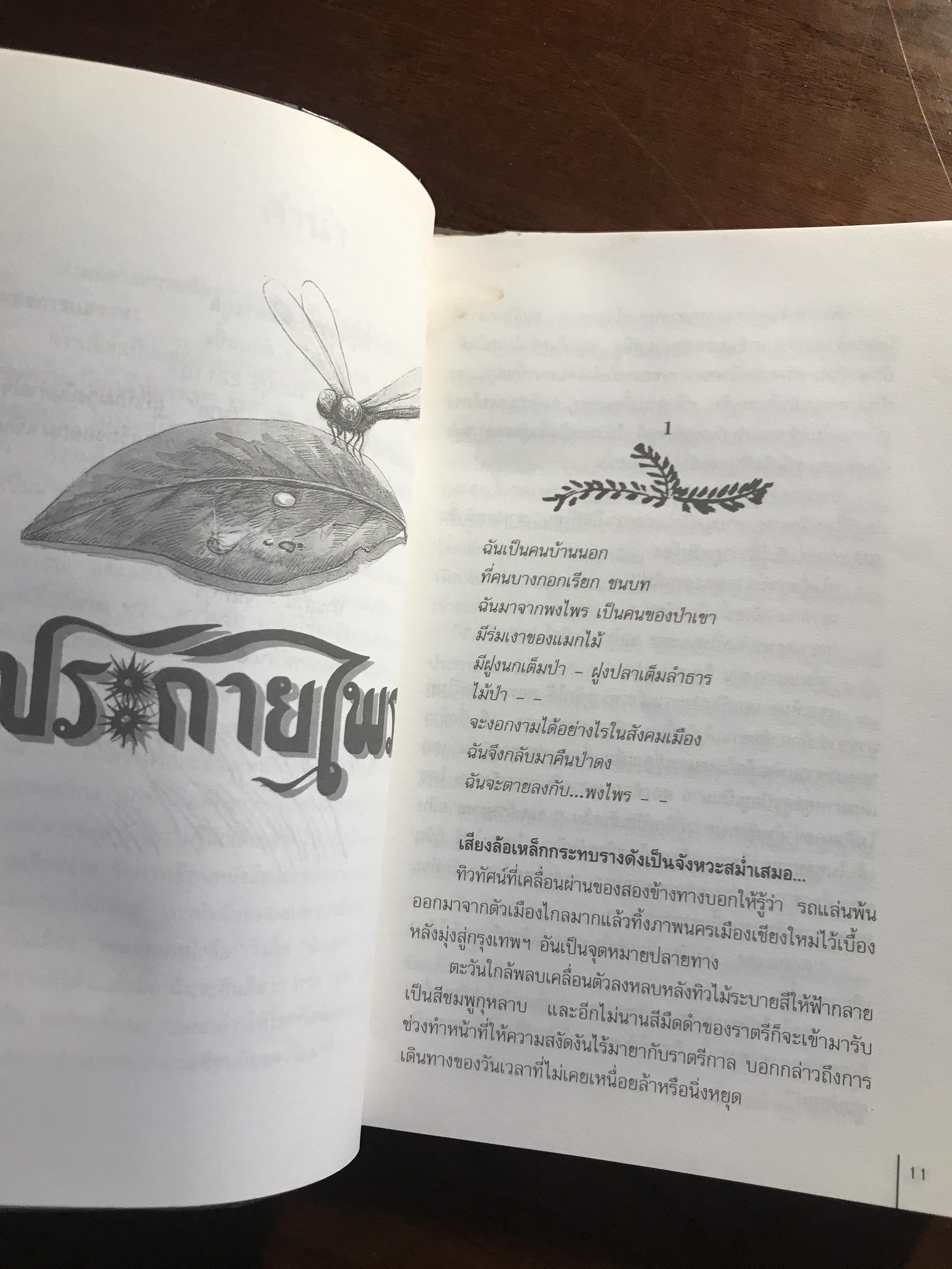 ประกายไพร ผู้เขียน: ปัญจนารถ สำนักพิมพ์: สนุกอ่าน ➡️ FTN1