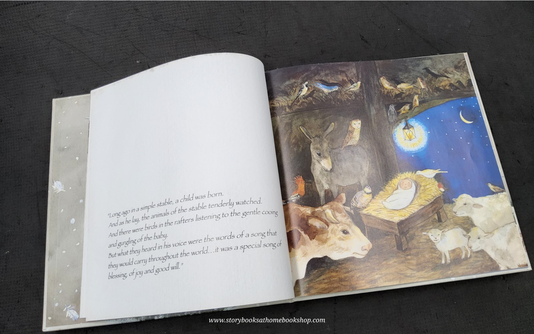 หนังสือนิทานปกแข็ง** ♥️THE MESSAGE OF THE BIRDS