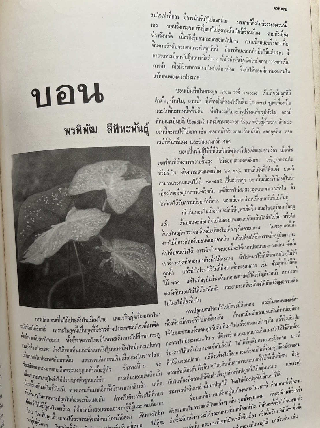 ธรรมชาติศึกษา : ฉบับแนะนำไม้ใบ-ไม้ประดับของไทยและเทศ (ชุดที่ 1 เล่มที่ 2 ลำดับที่ 2 ปี 2521).
