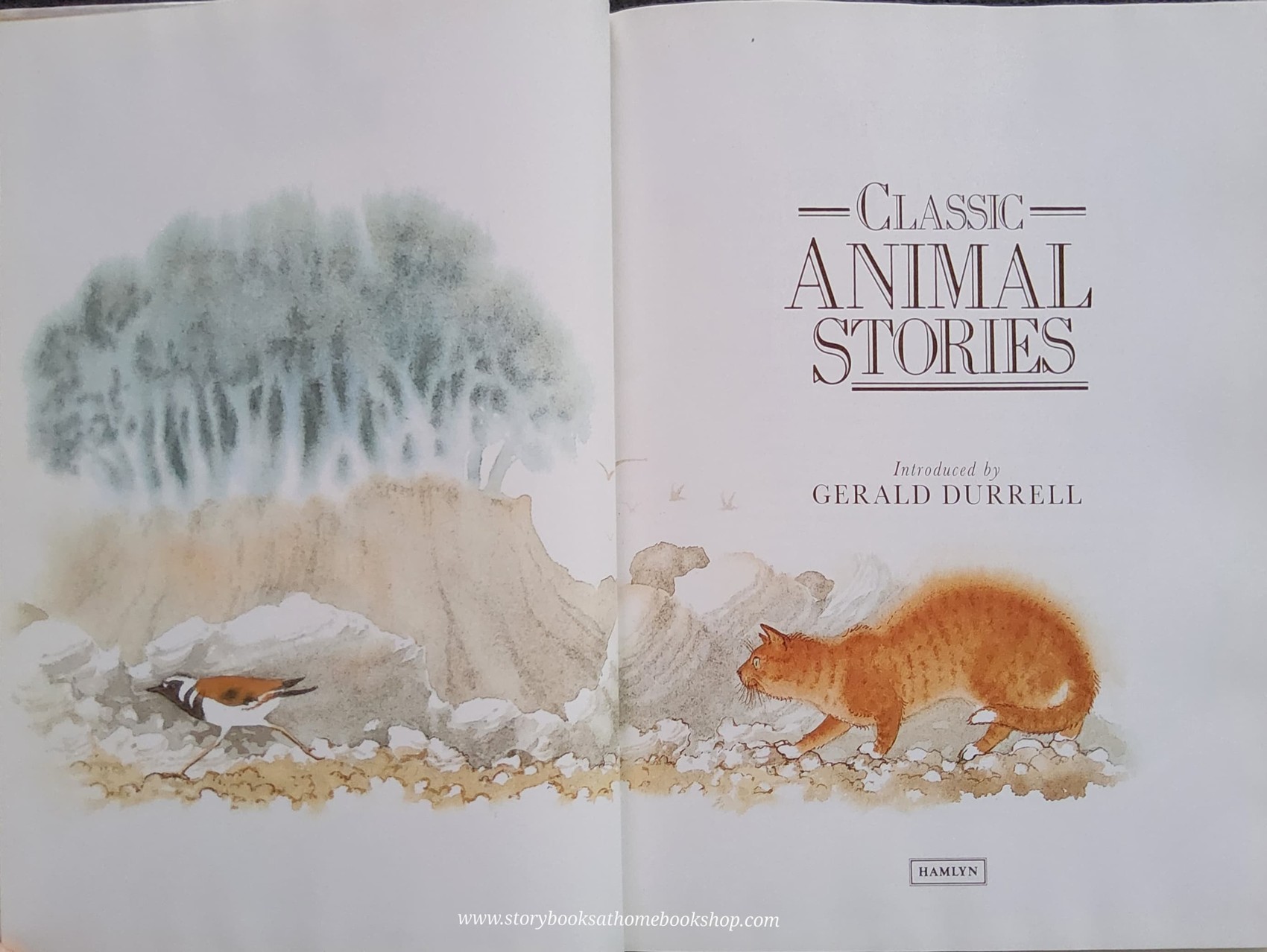 หนังสือนิทานปกแข็ง** 🍅🍓CLASSIC ANIMAL STORIES