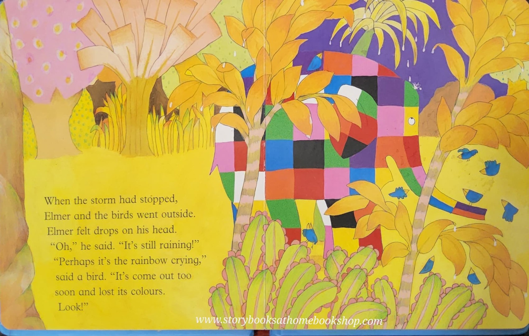 BOARD BOOK** 🍅🍓ELMER AND THE RAINBOW BY DAVID MCKEE