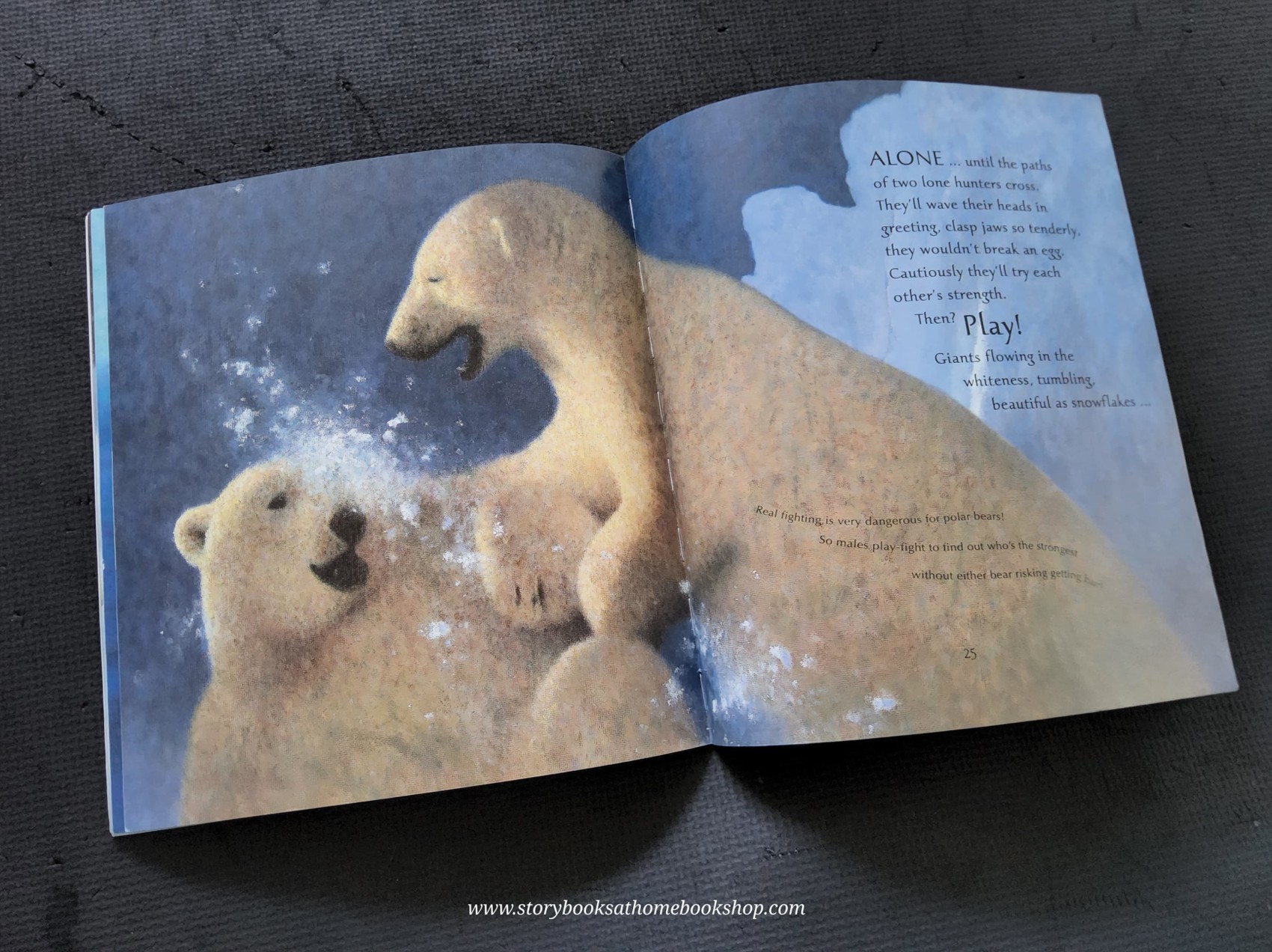 หนังสือนิทานปกอ่อน ** 🍅🍅ICE BEAR BY NICOLA DAVIES (NATURE STORYBOOK)