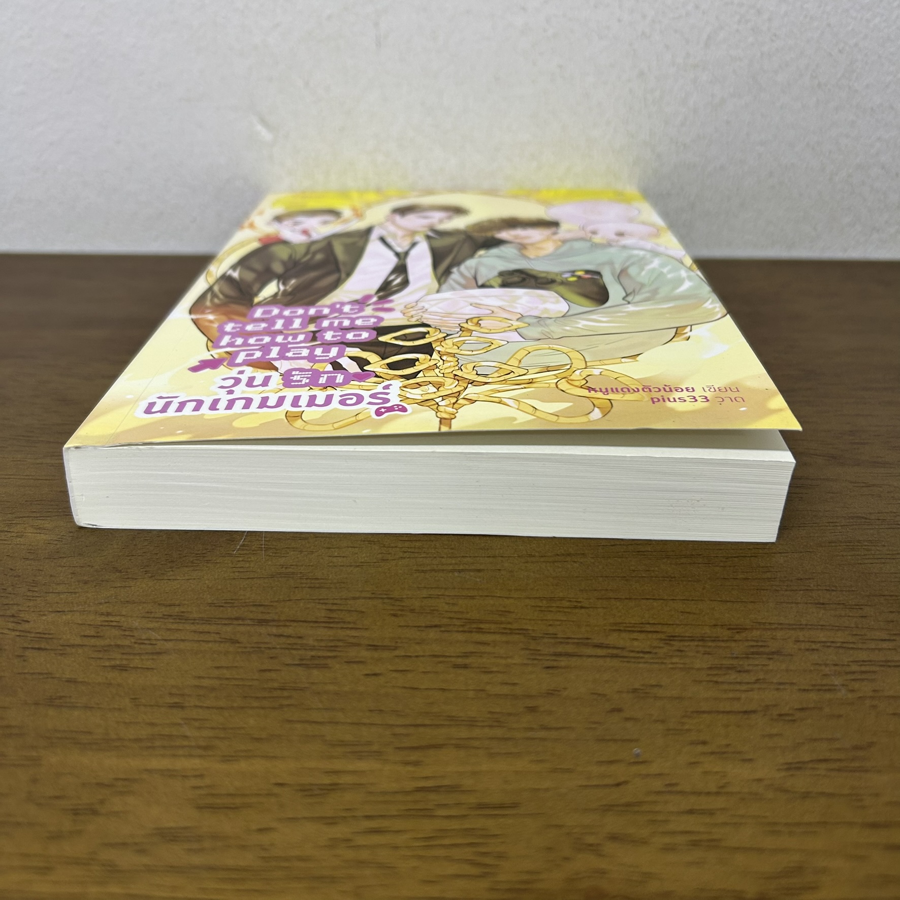 [YAOI] Don't tell me how to play วุ่นรักนักเกมเมอร์ ... หนูแดงตัวน้อย (มือสอง) นิยายวาย Rose