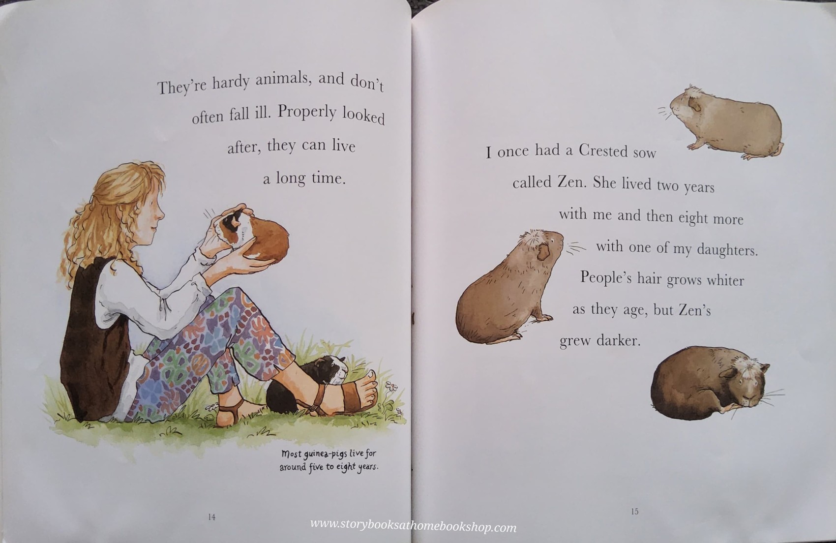 หนังสือนิทานปกอ่อน ** 🍅🍅I LOVE GUINEA-PIGS BY DICK KING-SMITH (NATURE STORYBOOK)