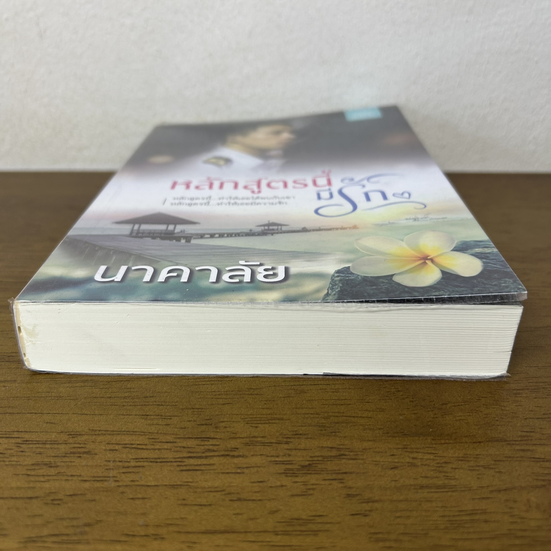 หลักสูตรนี้มีรัก ... นาคาลัย (มือสอง) นิยาย โรแมนติก ดีต่อใจ