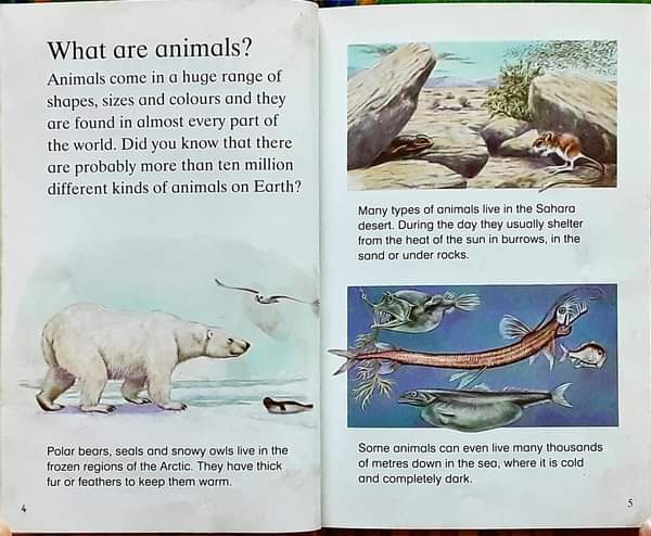 หนังสือนิทานเด็ก ภาษาอังกฤษ ปกแข็ง 🍅🍓Animals/Used สภาพ 80-90%