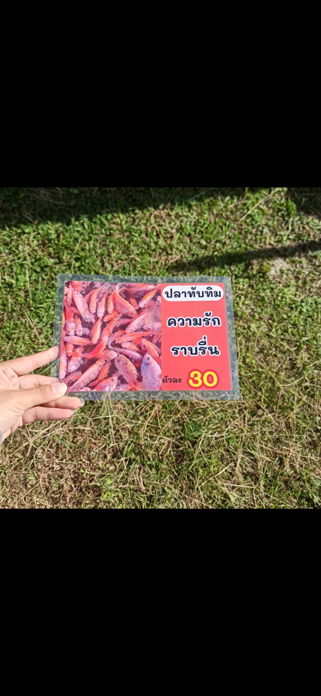 ชุดป้ายเมนู A5 ปลามงคล 12 แผ่น | ปลาไหล, ปลาหมอ, ปลาดุก, ปลานิล, ปลาช่อน, ปลาทับทิม | เสริมโชคลาภ เพิ่มความเฮงให้ร้านคุณทันที! | รหัส 4074