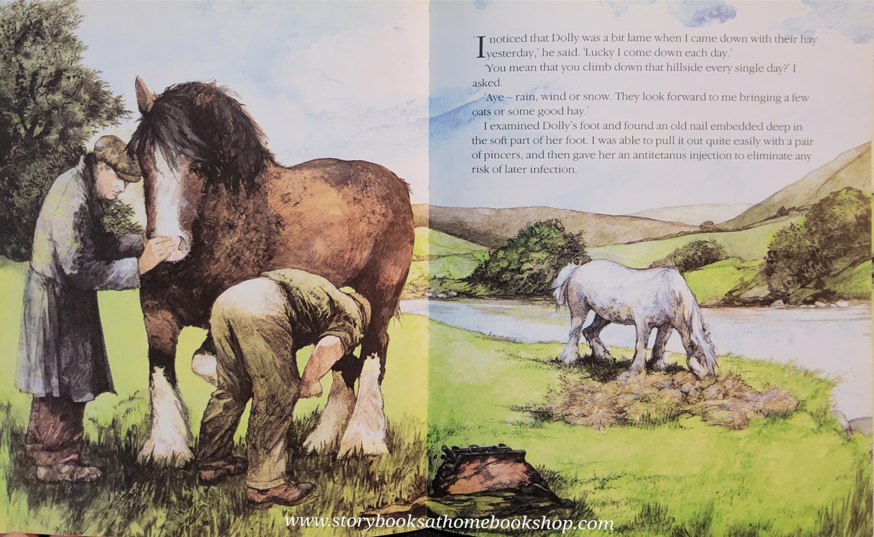 *หนังสือนิทานปกอ่อน** 🍅BONNY'S BIG DAY BY JAMES HERRIOT.RUTH BROWN