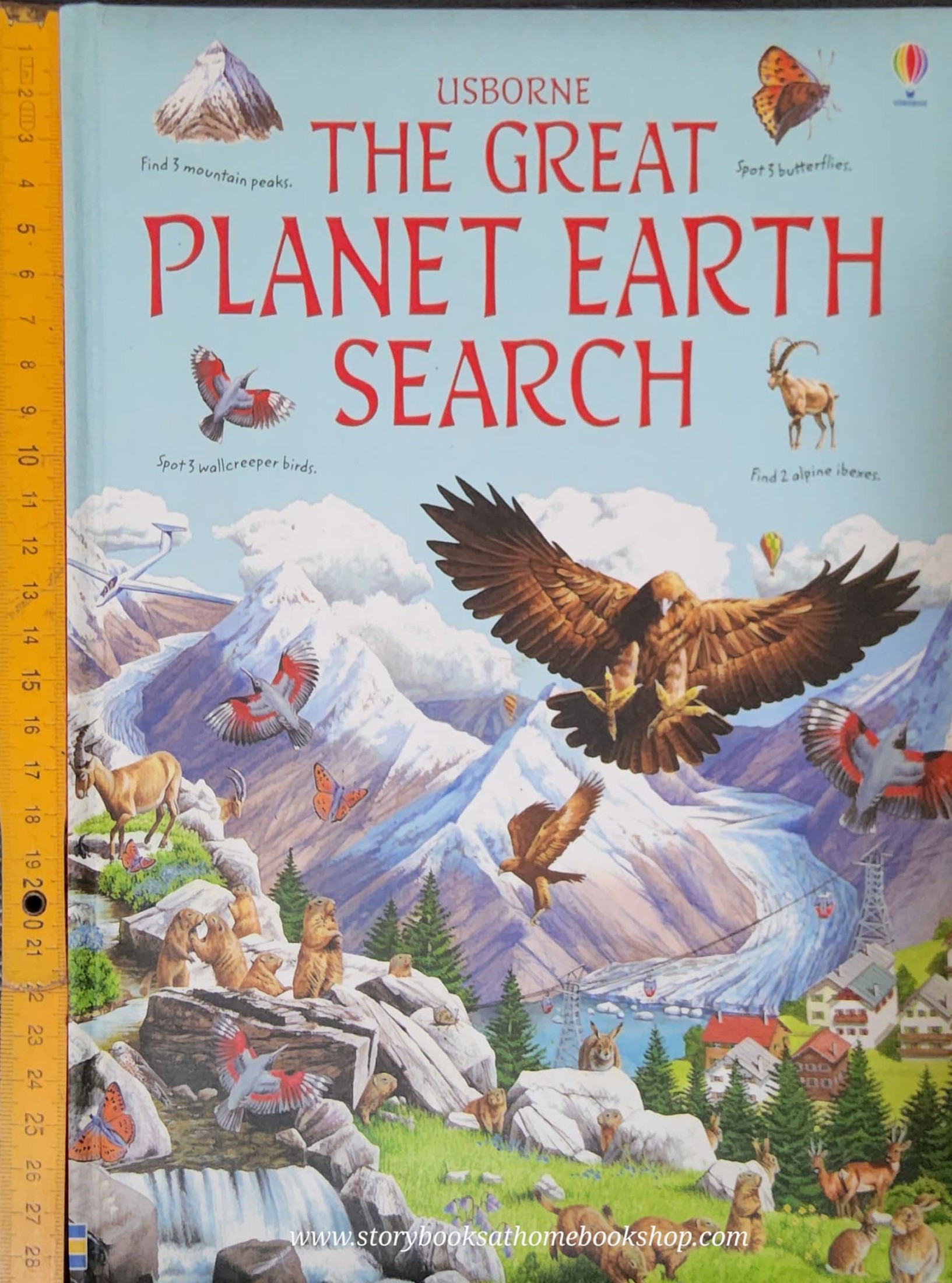 PUZZLE BOOK** 🍅🍓USBORNE THE GREAT PLANET EARTH SERCH