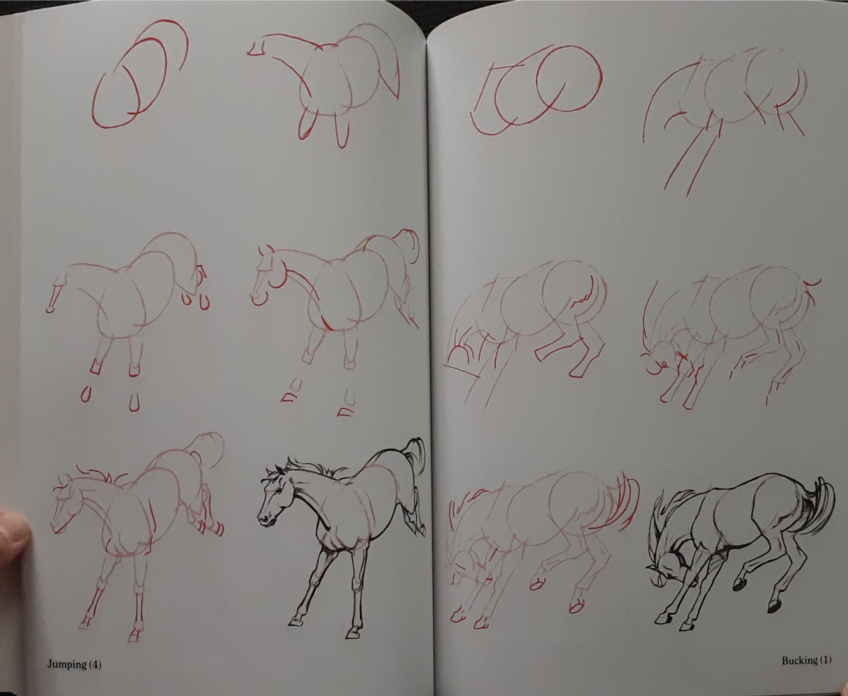 Knowledge Book** 🍅🍓DRAW 50 HORSES