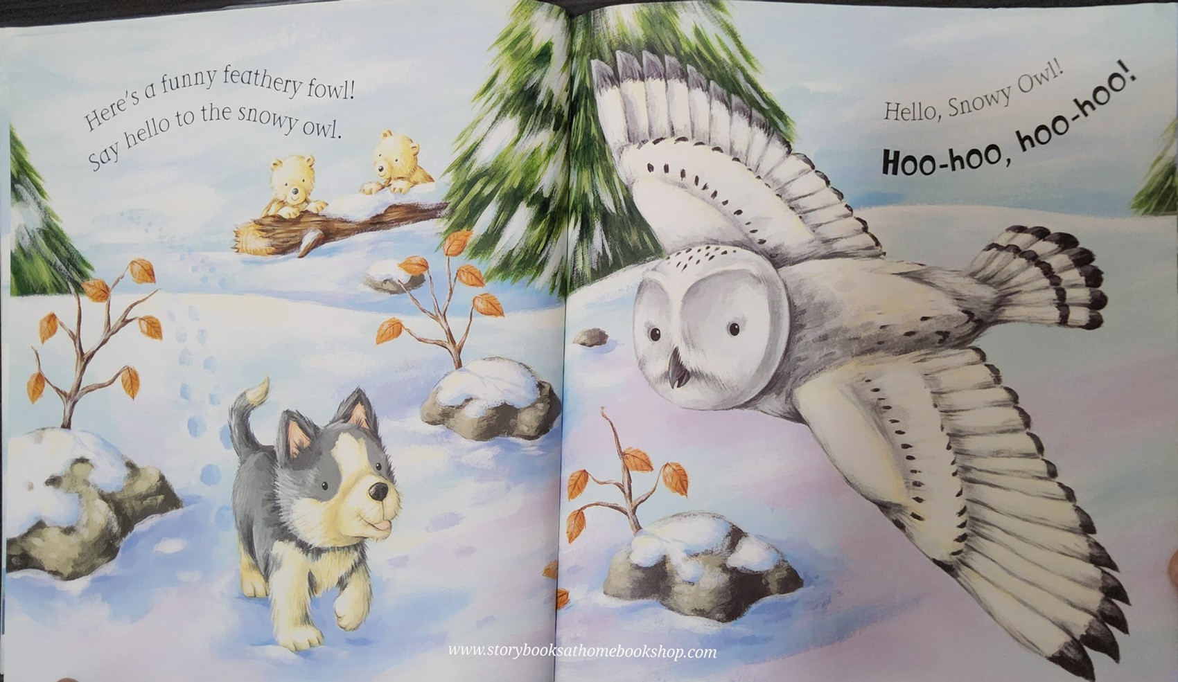 หนังสือนิทานปกอ่อน** 🍅SAY HELLO TO THE SNOWY ANIMALS!