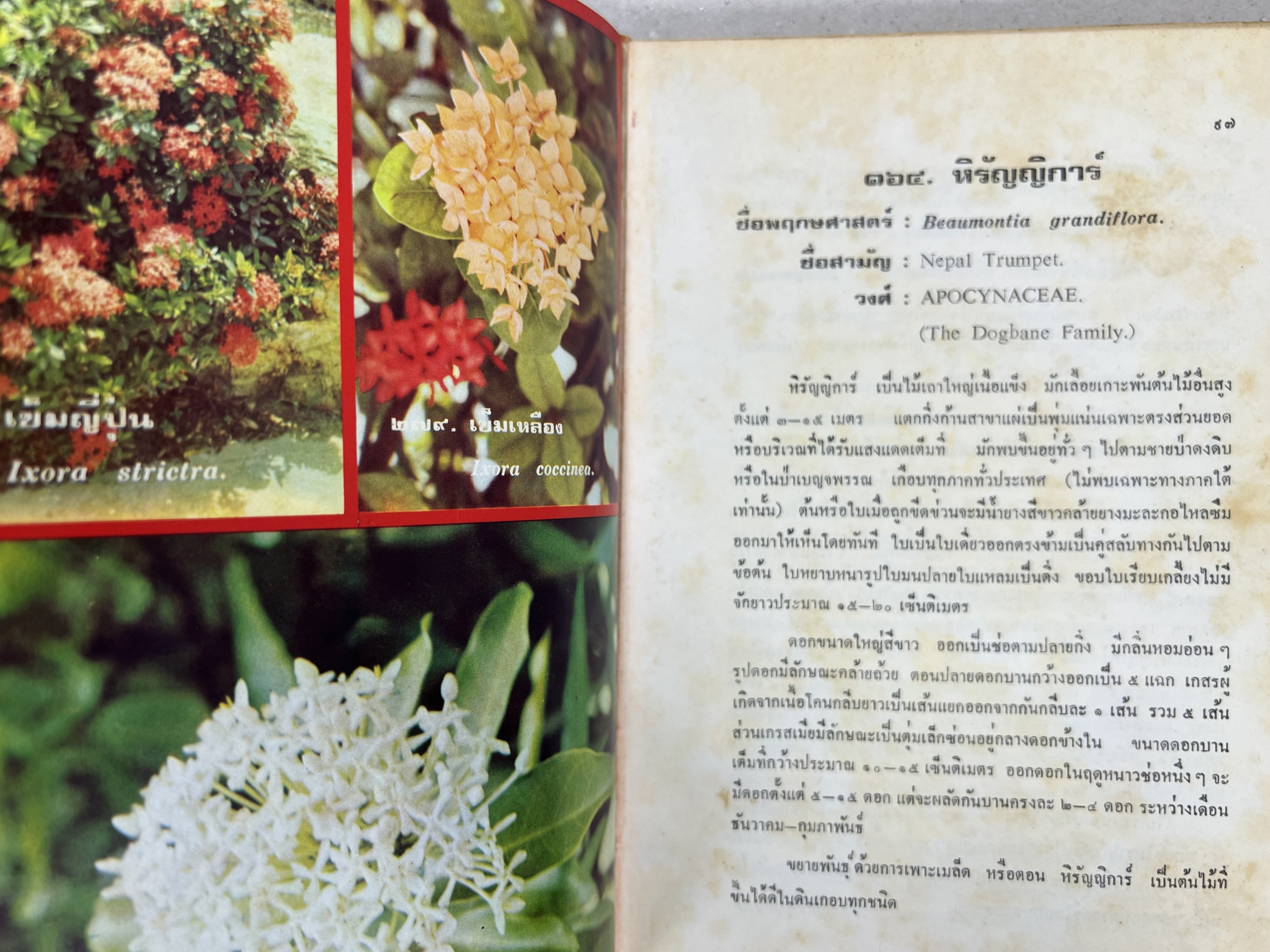ดอกไม้เมืองไทย ชุดที่ 1-2 : คู่มือรู้จักดอกไม้โดยละเอียด พร้อมภาพสี 140 ภาพ โดย : วิชัย อภัยสุวรรณ (2 เล่มชุด).
